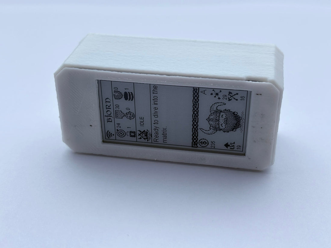 What is Bjorn? The Pocket-Sized Network Auditing Tool Explained